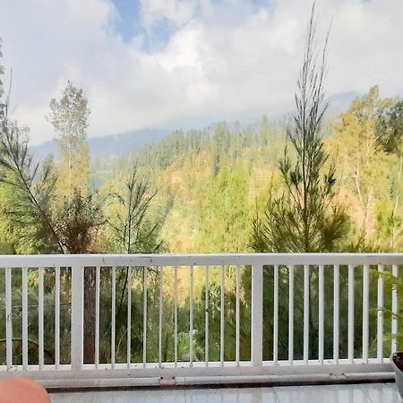 Delvia Bromo Homestay Mitra Reddoorz باسوروان المظهر الخارجي الصورة