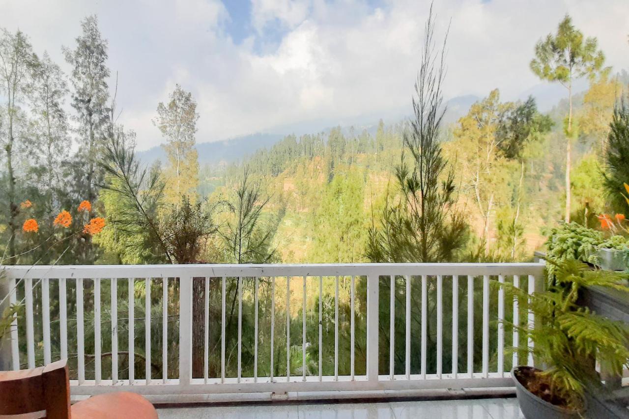 Delvia Bromo Homestay Mitra Reddoorz باسوروان المظهر الخارجي الصورة